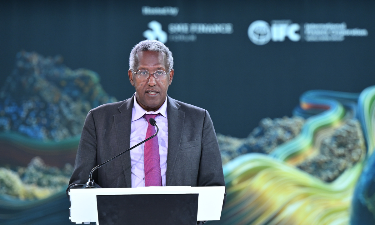 GSMEFF 2025 The role of digitalization, equity investment and policies GSMEFF 2025 The role of digitalization, equity investment and policies