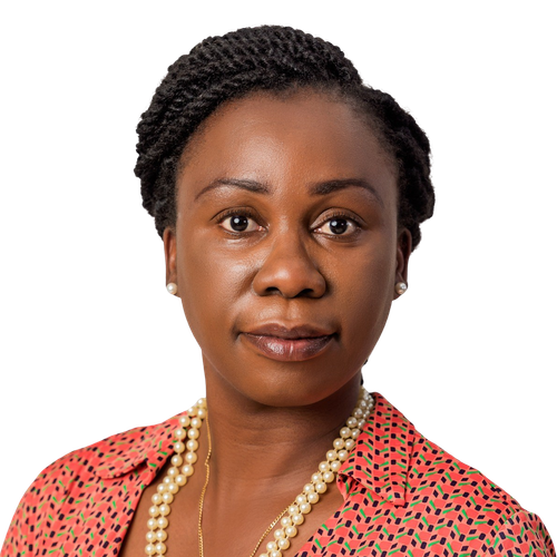 Nankhonde Kasonde-van den Broek
